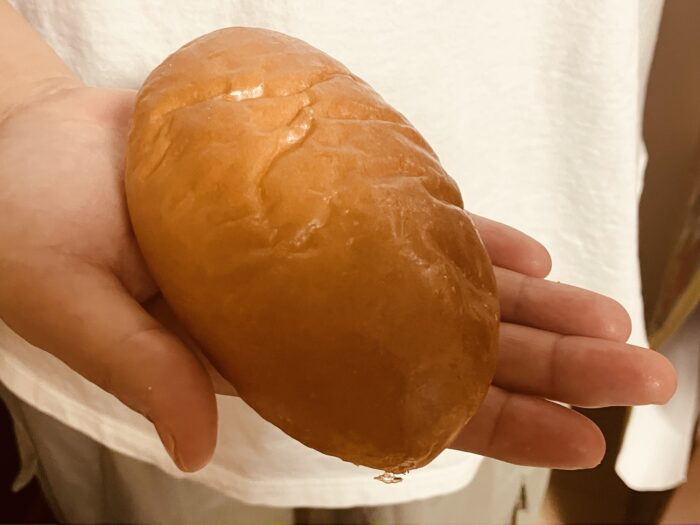 大きさは手のひらサイズ