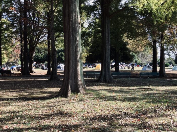 公園内の芝生エリア