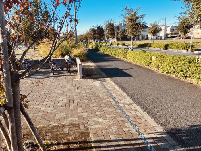 公園に隣接する道路