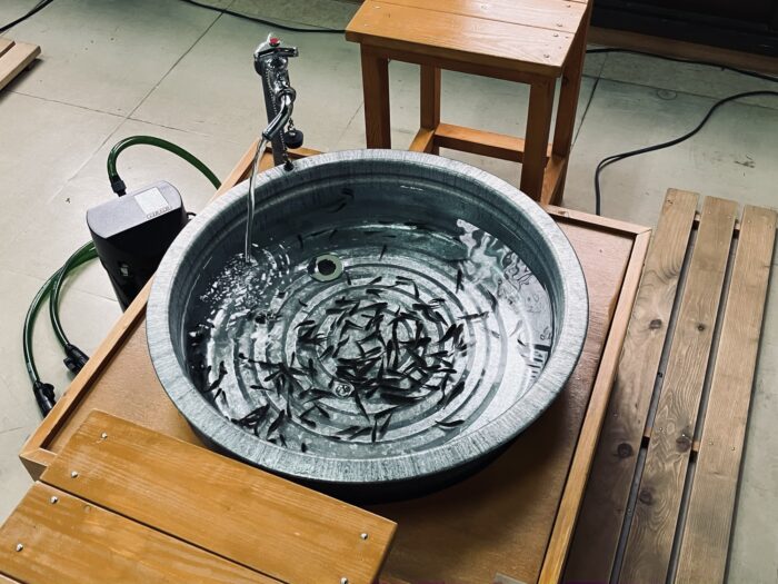 おさかなの足湯コーナー